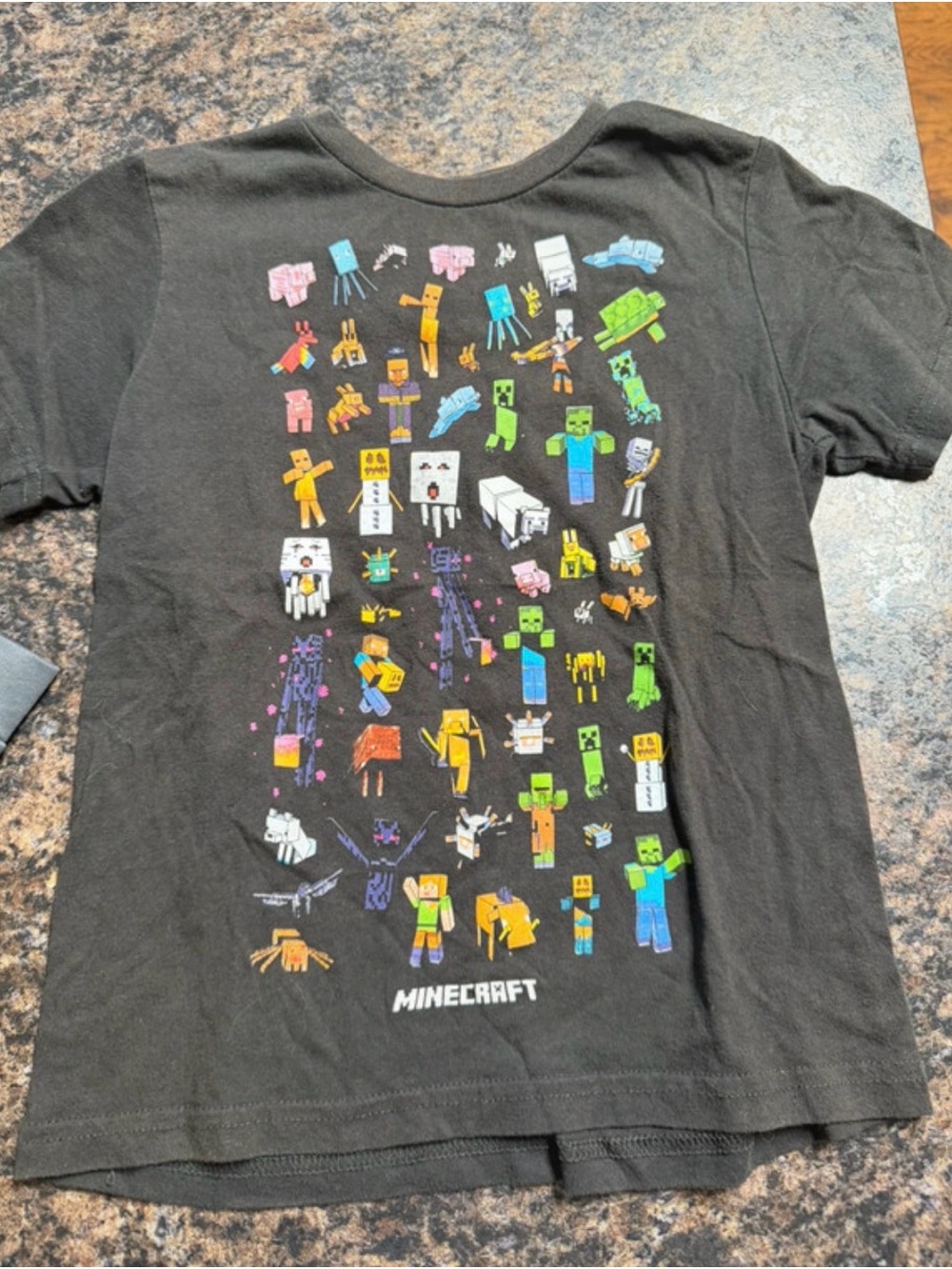 Minecraft Kids Black Short-Sleeve Character Tee